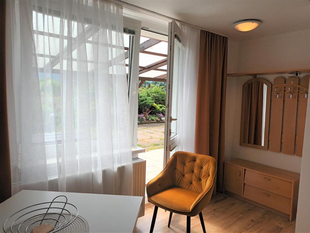 Apartman Alena 卡罗维发利 外观 照片