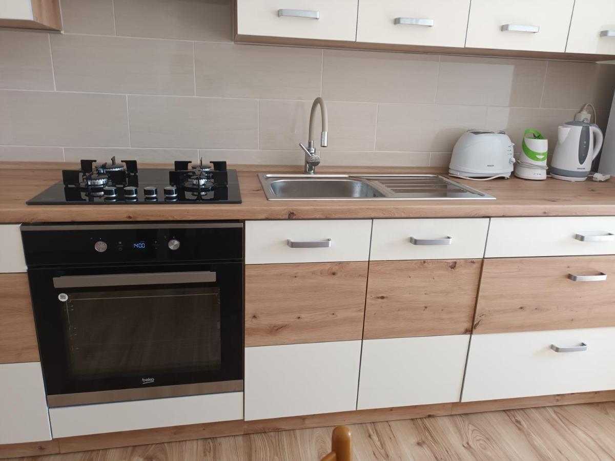 Apartman Alena 卡罗维发利 外观 照片