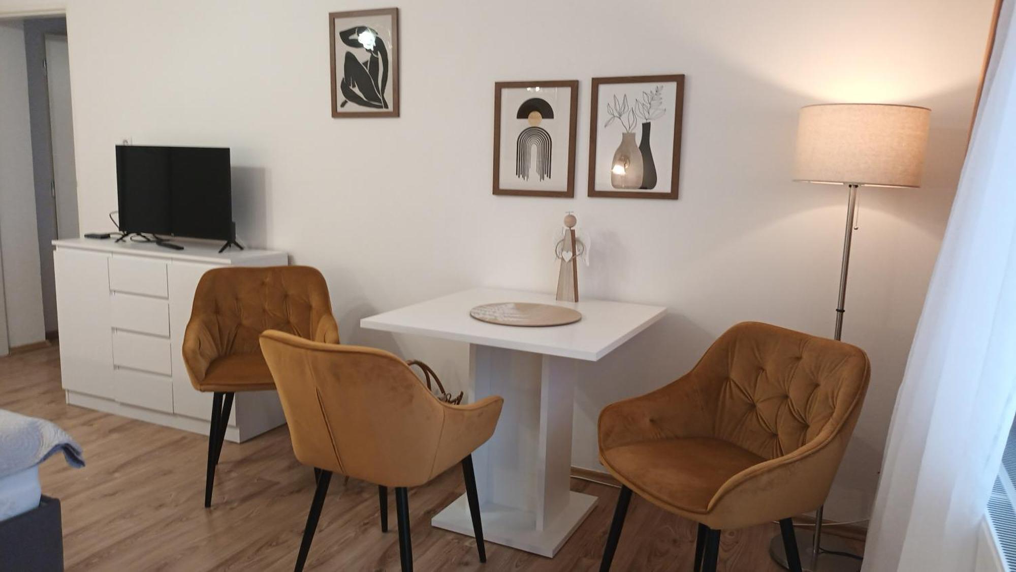 Apartman Alena 卡罗维发利 外观 照片